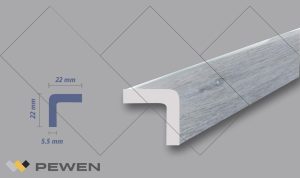 Ángulo 22 22 EPS 61