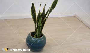 Piso Flotante 2873 - Roble Waveless Blanco