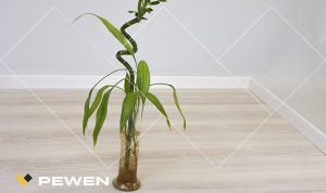 Piso Flotante 2989 - Fresno Polar