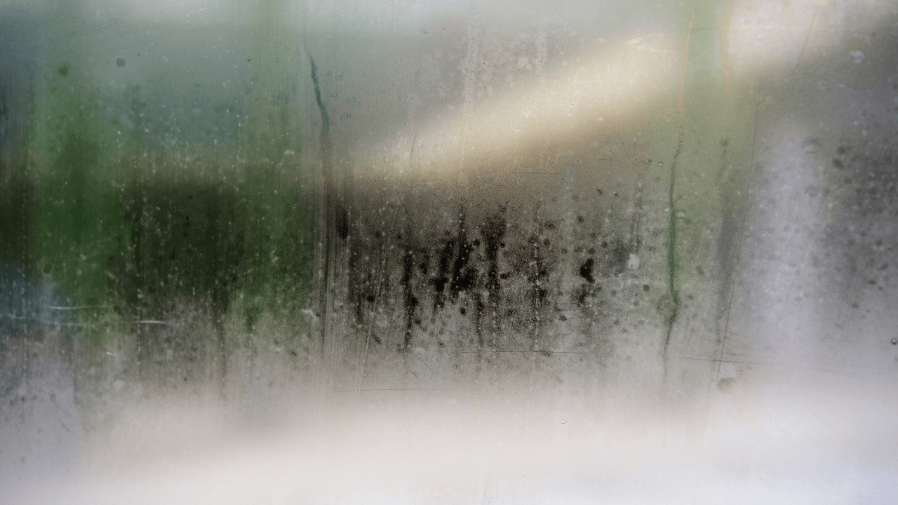 alt humedad lluvia frío